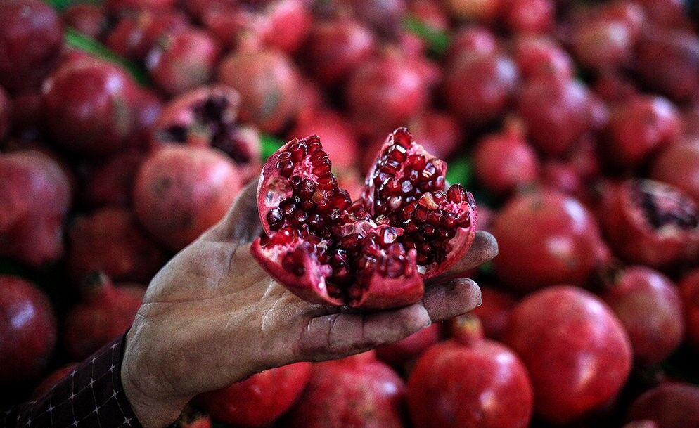 انار شب یلدا تامین است