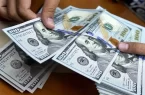 عرضه پرقدرت بازارساز در نیما