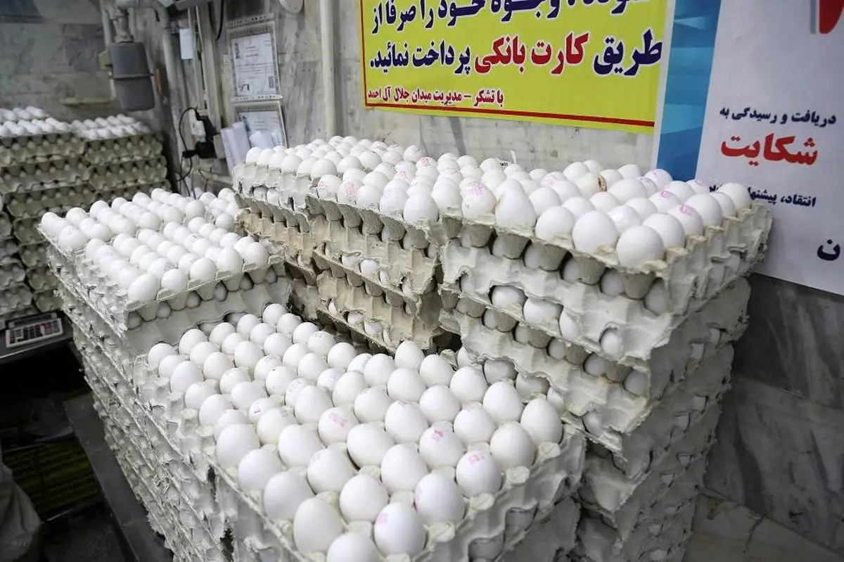 قیمت تخم مرغ کاهش یافت